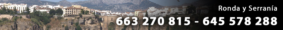 Servicios de Cerrajería en Gaucín